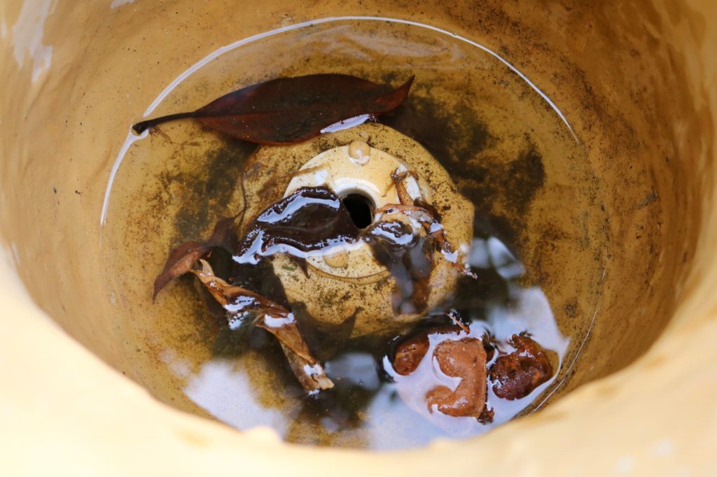 a plant pot with dead leaves and water and dirt inside
