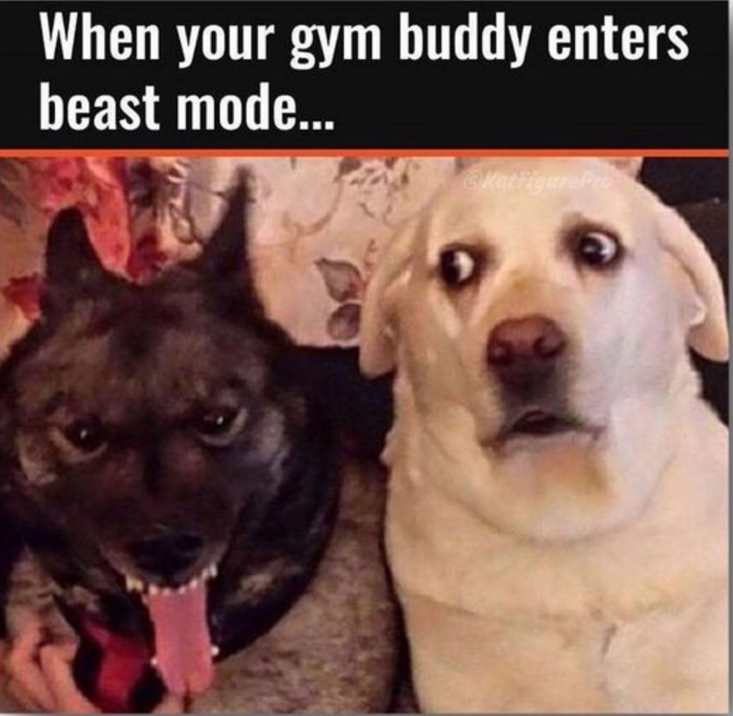 Fitness Memes That Are Way Too Relatable - Chelsea's Fit Life